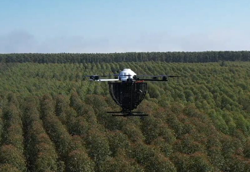 Inovação e tecnologia impulsionam as operações da CMPC no Brasil