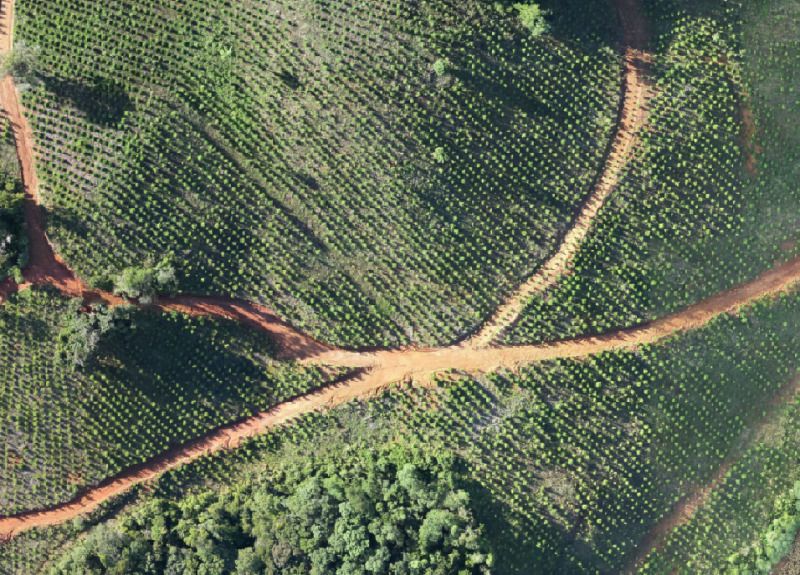 Irani investe em tecnologia para fortalecer a gestão florestal no Meio-Oeste de SC