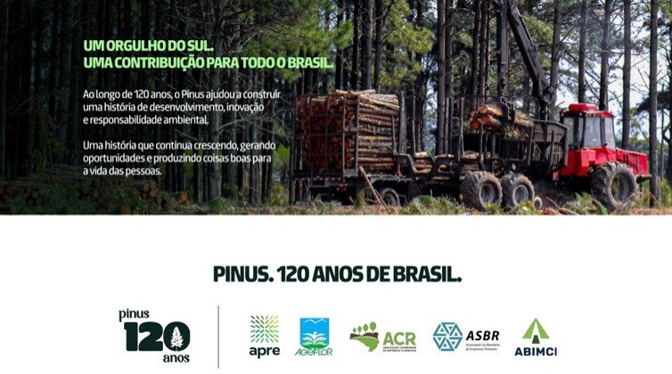 Campanha institucional mostra importância econômica, social e ambiental do Pinus, após 120 anos no Brasil